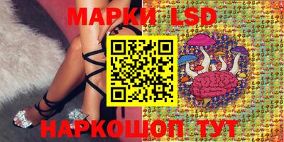 бошки Можга